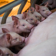 圖片來源：今周刊