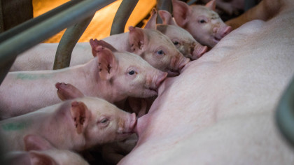 圖片來源：今周刊