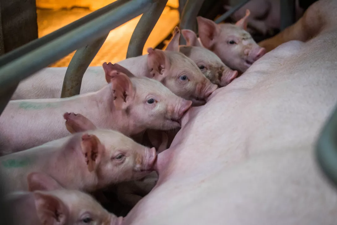 圖片來源：今周刊